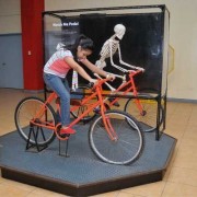 clovek_skeleton_pedal.jpg