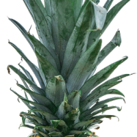 39_resource.png